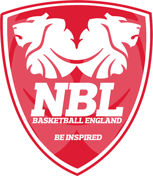 布里斯托尔VS赫默风暴