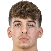 利亚德·什穆埃尔