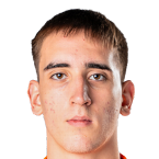 安德里亚·武科维奇