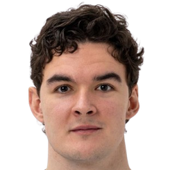 亚历山大·莱蒂诺