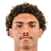 奥斯汀·威利福德