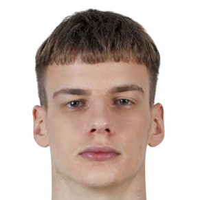 鲁巴斯塔维克斯