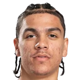 斯泰尔斯·菲普斯