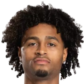 斯泰尔斯·菲普斯