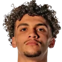 米切利尼-杰克逊