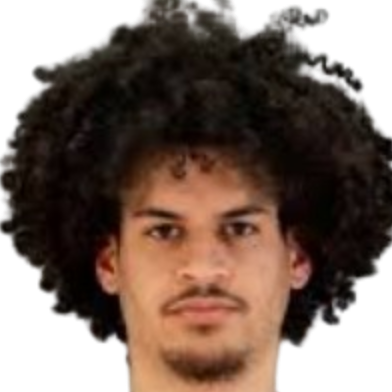 弗洛里安·特内贝