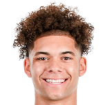 小丹·斯基林斯