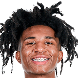 雷冯·格里菲斯