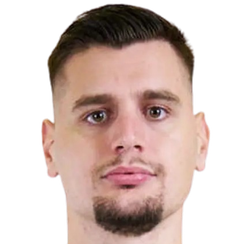 斯特凡&middot;多尔杰维奇