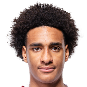 阿利贾&middot;阿雷纳斯