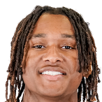 德安德雷·佩尔蒂特