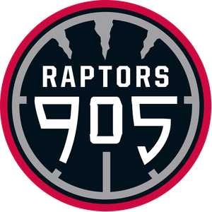 猛龍905  logo