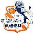 广东凤铝 