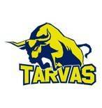 塔瓦斯  logo