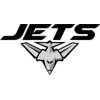 尼达罗斯喷气机 logo