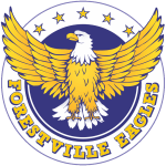 森林维尔老鹰 logo