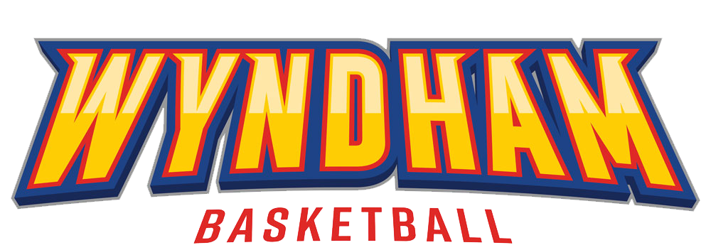 温德姆女篮 logo