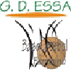 格德萨B女篮 logo