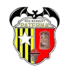 帕特纳女篮 logo