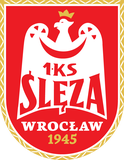 弗羅茨瓦夫女籃 logo
