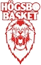 候格斯堡女篮 logo