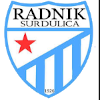 拉德尼克 logo
