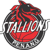 檳城寶馬女籃  logo