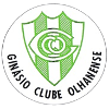奥尔汉内斯  logo