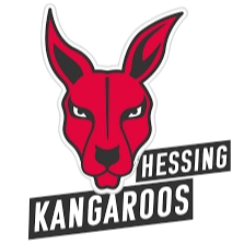 黑辛莱特斯霍芬 黑辛莱特斯霍芬