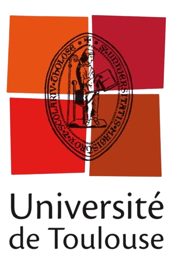 图卢兹大学女篮 