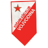 伏伊伏丁  logo