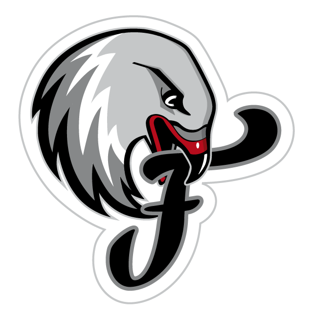 纽伦堡猎鹰  logo