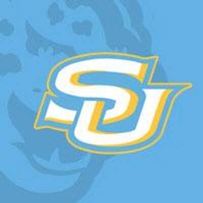 南方大學女籃 logo