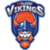 Cobuilder Vikings