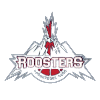 罗斯特斯  logo