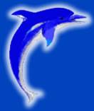 PCU海豚  logo