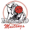 梅特蘭野馬女籃  logo