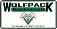 朱恩达拉普狼女子篮球 logo