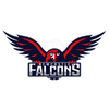 紐卡斯爾獵鷹  logo