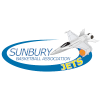 森伯里喷气机 logo