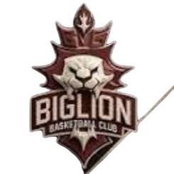 大狮子  logo