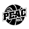 PEAC佩奇女篮  logo