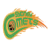 悉尼彗星女篮 logo