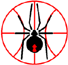 珀斯紅背蜘蛛女籃 logo