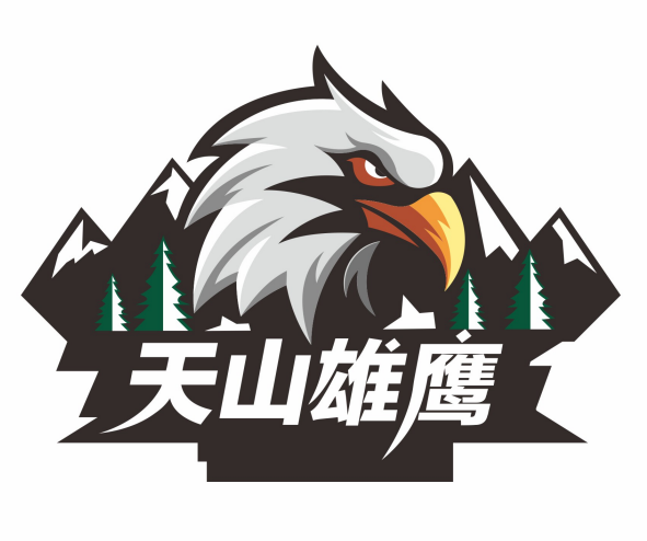 新疆天山雄鹰 