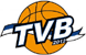 特萊維奧 logo
