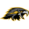 夜鹰  logo