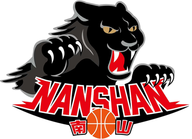 新北市南山高中队 