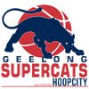 吉隆超級貓女籃  logo