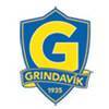 格林達維克  logo